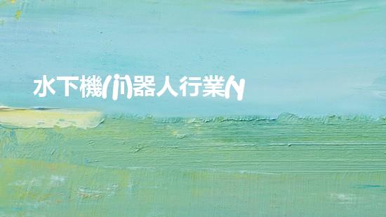 水下機(jī)器人行業(yè)標(biāo)準(zhǔn)：突破技術(shù)邊界，開啟未來之門！